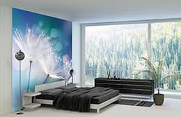 salon_1