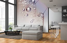 salon_3
