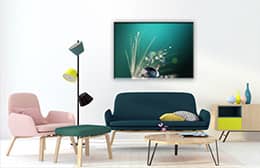 canvas_2